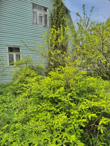 Купить земельный участок в Раменском. Вариант № 40727, 26, площадь -  квм, цена 5999999 рублей