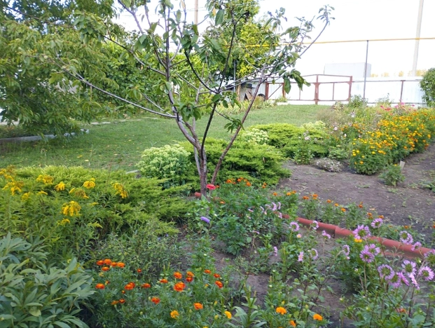 . Вариант № 1889252, 37, площадь - 118.4 квм, цена 6300000 рублей