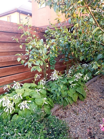 Купить дом на улице Долинская в Ростове-на-Дону. Вариант № 42243, 33, площадь -  квм, цена 13650000 рублей