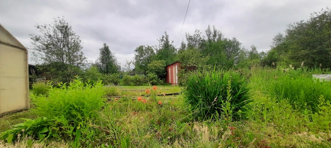 Купить дачу в Владимирской области. Вариант № 56111, 6, площадь -  квм, цена 700000 рублей