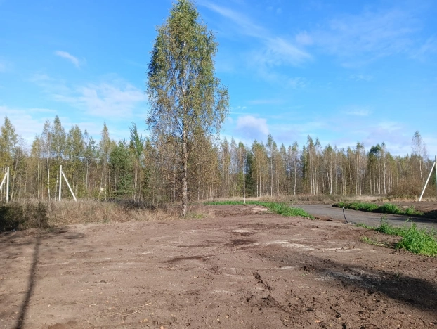 Купить земельный участок в Ленинградской области. Вариант № 6964732, 1, площадь -  квм, цена 2508800 рублей