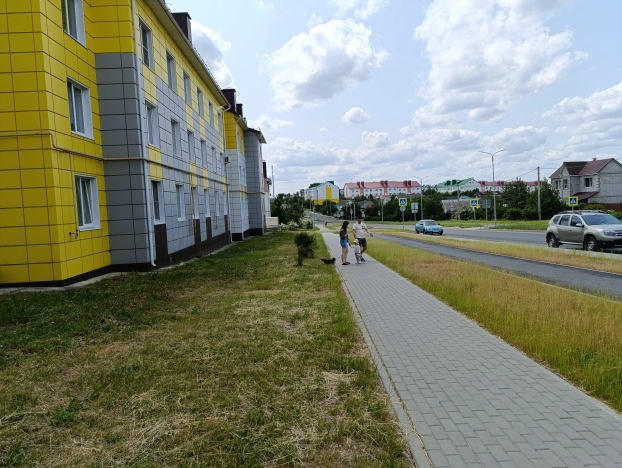 Купить однокомнатную квартиру в Микрорайоне Новый-2 в Белгороде. Вариант № 49832, 12, площадь -  квм, цена 3240000 рублей