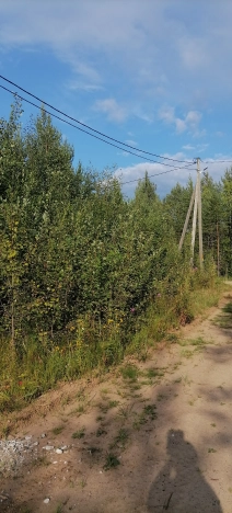 Купить земельный участок в Республике Коми. Вариант № 2015344, 5, площадь -  квм, цена 560000 рублей