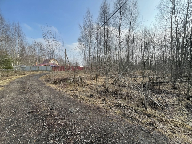 Купить земельный участок в Новгородской области. Вариант № 30972, 10, площадь -  квм, цена 500000 рублей