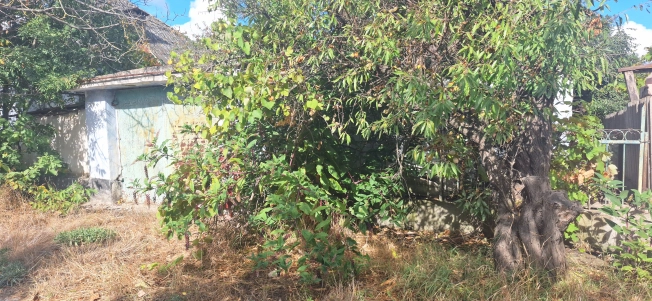 Купить дом на улице Васильковая в Краснодарском крае. Вариант № 8793890, 4, площадь -  квм, цена 4500000 рублей