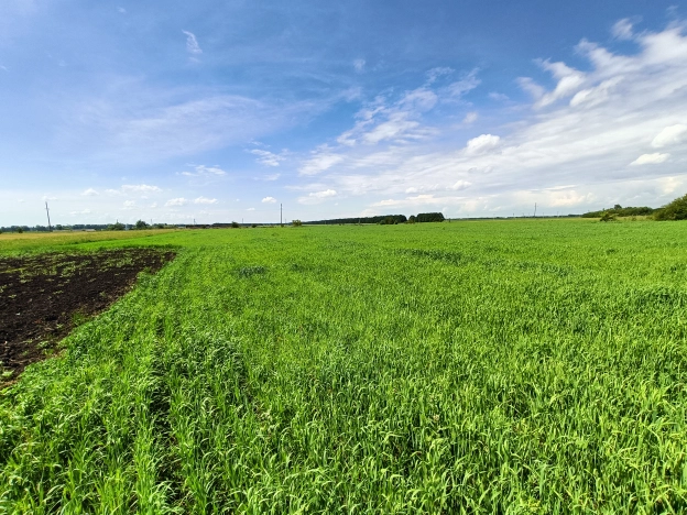 Купить дом на улице Большак в Липецкой области. Вариант № 9937, 12, площадь -  квм, цена 950000 рублей