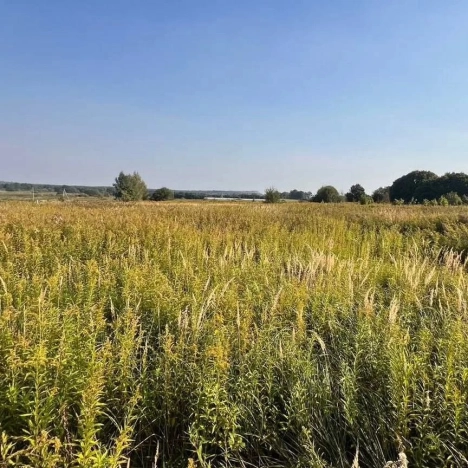 Купить земельный участок в Калининграде. Вариант № 7846603, 0, площадь -  квм, цена 2500000 рублей