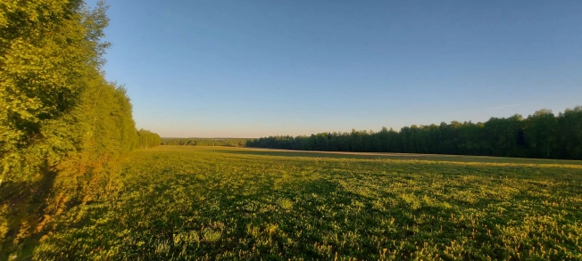 Купить земельный участок в Вязниках. Вариант № 4635, 3, площадь -  квм, цена 4000000 рублей