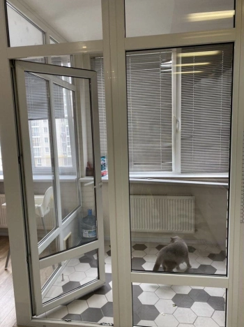 Купить трехкомнатную квартиру в Ростовской области. Вариант № 10482539, 3, площадь -  квм, цена 12500000 рублей