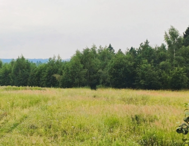 Купить земельный участок в Сергиеве Посаде. Вариант № 529617, 0, площадь -  квм, цена 2600000 рублей