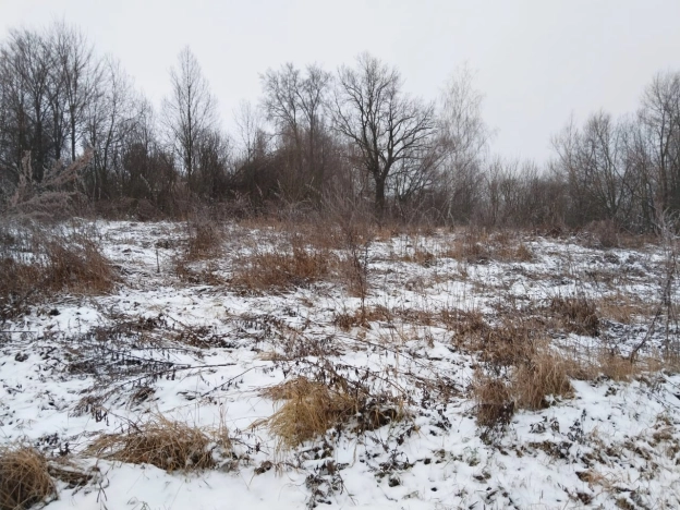 Купить земельный участок в Тульской области. Вариант № 19500, 7, площадь -  квм, цена 495000 рублей