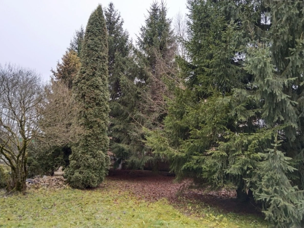 Купить дом на улице 1-й Автопарк в Москве. Вариант № 3181570, 24, площадь -  квм, цена 25000000 рублей