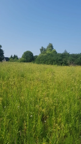 Купить земельный участок в Владимире. Вариант № 1429, 4, площадь -  квм, цена 270000 рублей