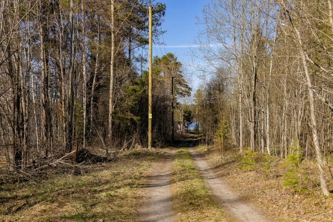 Купить земельный участок в Петрозаводске. Вариант № 7373, 23, площадь -  квм, цена 19000000 рублей