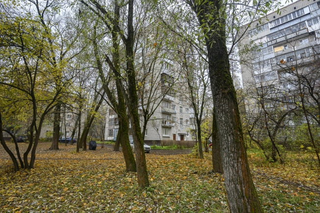 Купить однокомнатную квартиру на улице Рабочая в Щёлкове. Вариант № 7996524, 29, площадь -  квм, цена 6200000 рублей