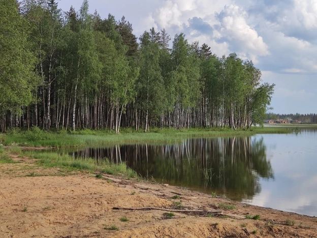 Купить дом в Всеволожске. Вариант № 41071, 12, площадь -  квм, цена 5990000 рублей