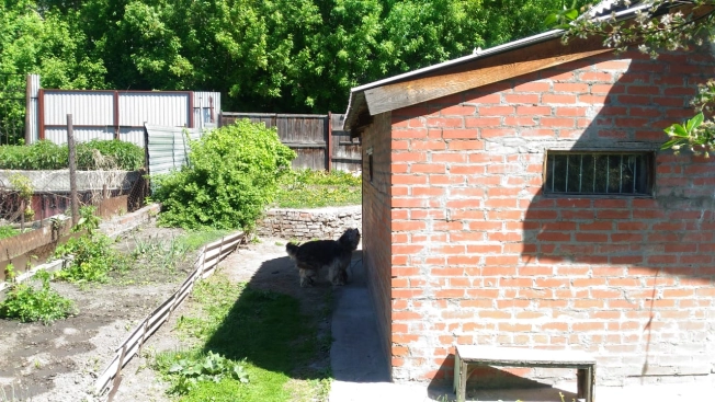 Купить дом на улице Пролетарская в Новосибирске. Вариант № 13971, 3, площадь - квм, цена 3300000 рублей