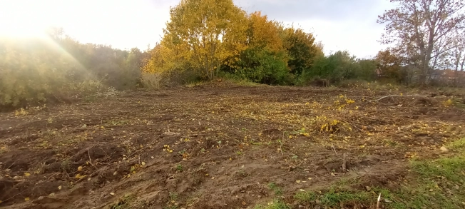 Купить земельный участок в Калининграде. Вариант № 8387538, 3, площадь -  квм, цена 7000000 рублей