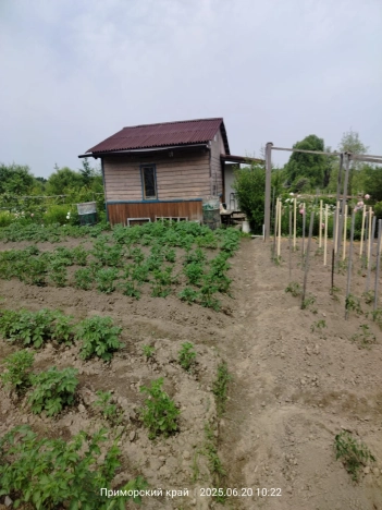 Купить земельный участок в Арсеньеве. Вариант № 54243, 10, площадь -  квм, цена 500000 рублей