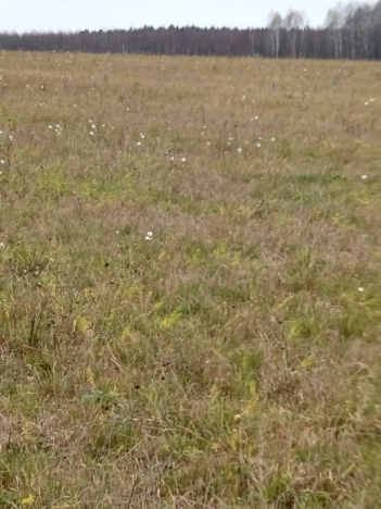 Купить земельный участок в Обнинске. Вариант № 9437462, 3, площадь -  квм, цена 1100000 рублей