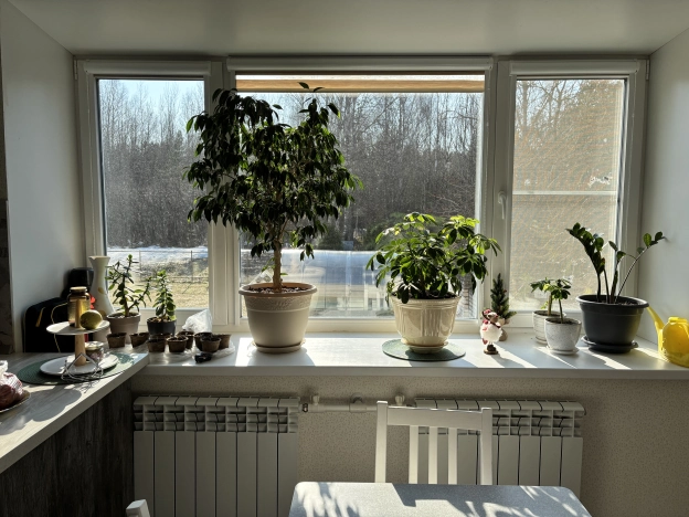 Купить дом на улице Старая Ляча в Ярославской области. Вариант № 31498, 12, площадь -  квм, цена 20000000 рублей