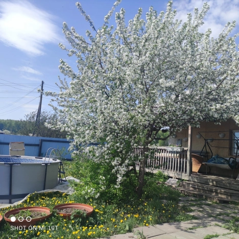 Купить дом в Тюменской области. Вариант № 51897, 2, площадь -  квм, цена 3740000 рублей