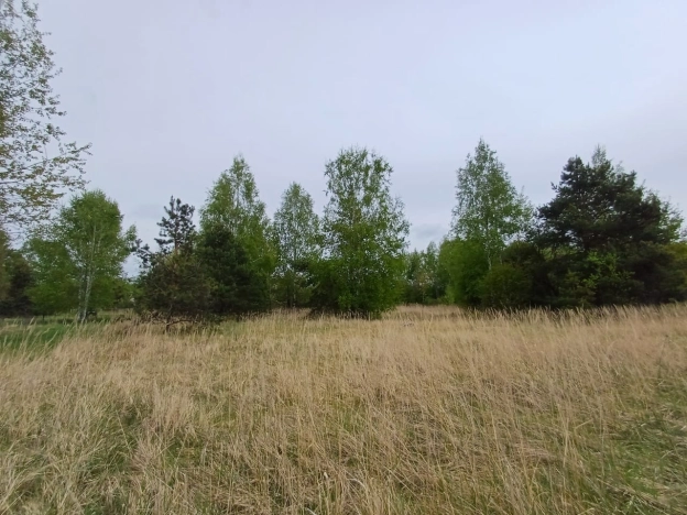 Купить земельный участок на улице Городцова в Рязанской области. Вариант № 6612049, 6, площадь -  квм, цена 800000 рублей