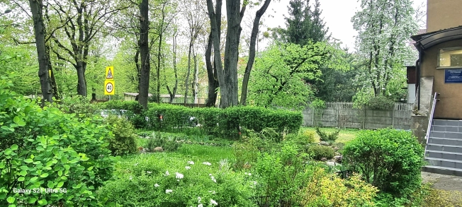 Купить четырехкомнатную квартиру в Калининграде. Вариант № 18504, 29, площадь -  квм, цена 10300000 рублей