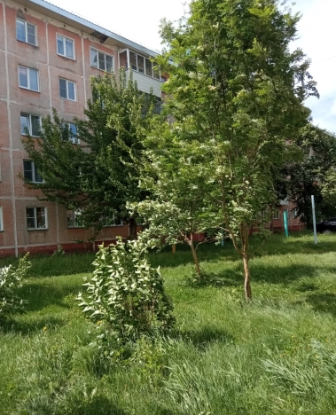 . Вариант № 20800, 16, площадь - 62 квм, цена 4199000 рублей