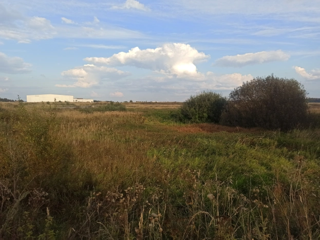 Купить земельный участок на улице Лесная в Лакинске. Вариант № 3877, 0, площадь -  квм, цена 350000 рублей