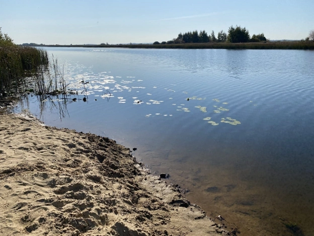 Купить земельный участок в Рязани. Вариант № 9864644, 5, площадь -  квм, цена 2000000 рублей