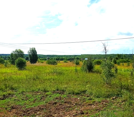 Купить земельный участок в Тульской области. Вариант № 3420, 8, площадь -  квм, цена 17800000 рублей