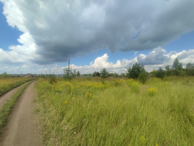 Купить земельный участок в Пензе. Вариант № 882095, 6, площадь -  квм, цена 290000 рублей