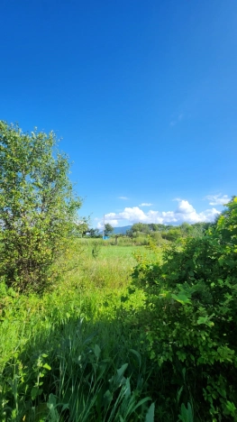 Купить дом на улице Садовая в Приморском крае. Вариант № 11717, 15, площадь -  квм, цена 1200000 рублей