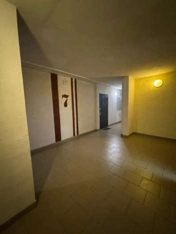 Купить однокомнатную квартиру в Ленинградской области. Вариант № 8927994, 24, площадь -  квм, цена 5000000 рублей