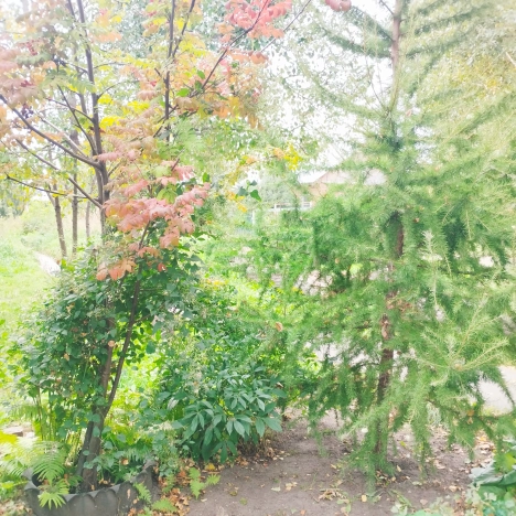 Купить дом в Микрорайоне Порт-Артур в Омске. Вариант № 16970, 16, площадь -  квм, цена 3250000 рублей