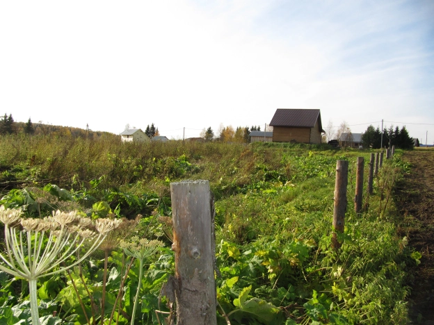 Купить земельный участок в Республике Коми. Вариант № 1197850, 0, площадь -  квм, цена 230000 рублей