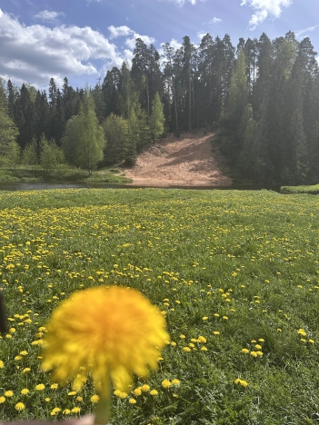 Купить земельный участок в Новгородской области. Вариант № 44811, 12, площадь -  квм, цена 6600000 рублей