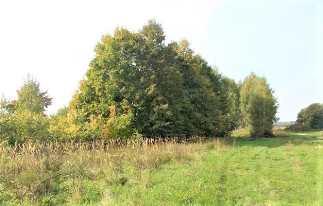 Купить земельный участок в Владимире. Вариант № 538, 1, площадь -  квм, цена 378000 рублей