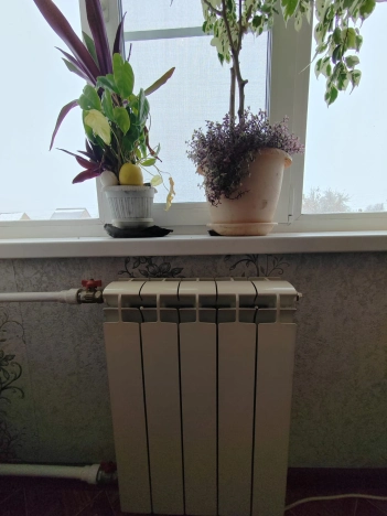 Купить однокомнатную квартиру в Обь. Вариант № 9087675, 11, площадь -  квм, цена 1930000 рублей