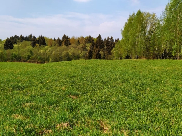 Купить земельный участок в Краснозаводске. Вариант № 972, 3, площадь -  квм, цена 1100000 рублей