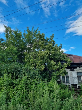 Купить земельный участок на улице Юрия Смирнова в Новосибирске. Вариант № 8198592, 4, площадь -  квм, цена 850000 рублей