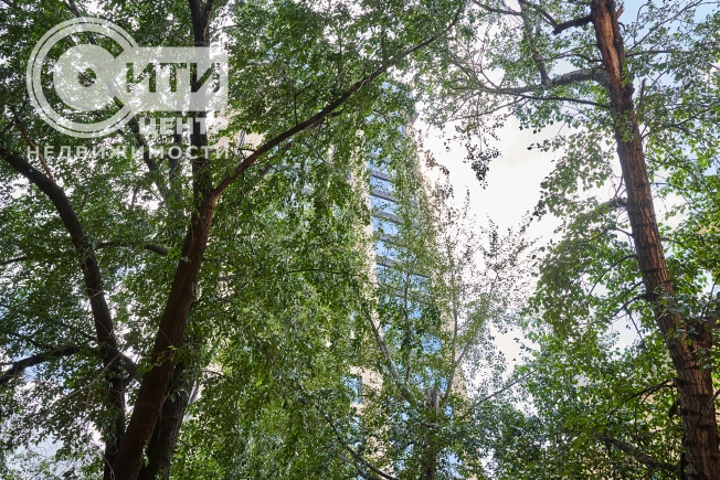 Купить двухкомнатную квартиру в районе Ленинский в Воронеже. Вариант № 56797, 27, площадь -  квм, цена 7999000 рублей