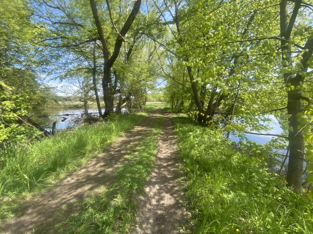 Купить дачу в Луховицах. Вариант № 41423, 10, площадь -  квм, цена 2350000 рублей