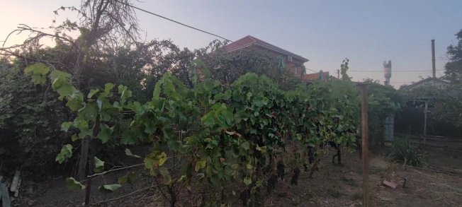 Купить дом в Краснодаре. Вариант № 2850075, 12, площадь -  квм, цена 6500000 рублей