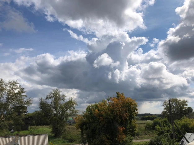 Купить трехкомнатную квартиру на улице 10 лет Октября в Омске. Вариант № 12536, 5, площадь -  квм, цена 2400000 рублей