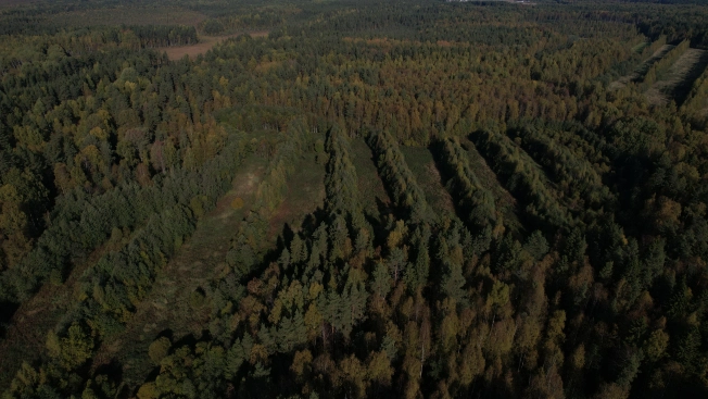 Купить земельный участок в Республике Карелия. Вариант № 13851, 17, площадь -  квм, цена 6000000 рублей