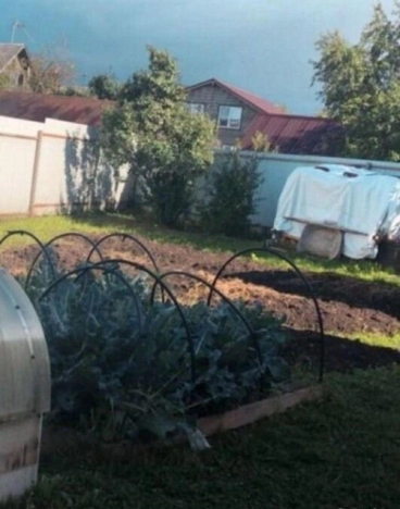 Купить дом в Вологде. Вариант № 6065, 16, площадь - квм, цена 26000000 рублей