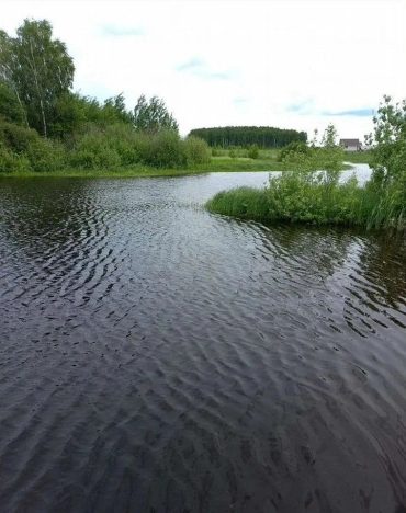 Купить земельный участок на улице Первомайская в Нижегородской области. Вариант № 2177349, 0, площадь -  квм, цена 600000 рублей