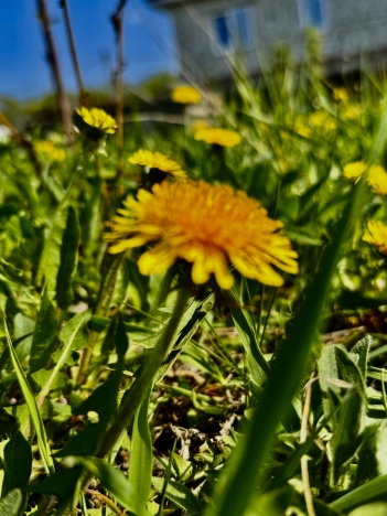 Купить дом в районе Северо-Восточный в Старом Осколе. Вариант № 38535, 26, площадь -  квм, цена 4800000 рублей